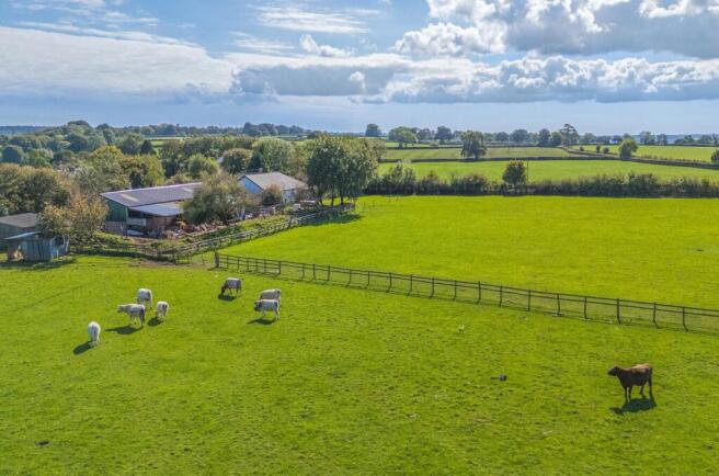 1359596-15-68d982...