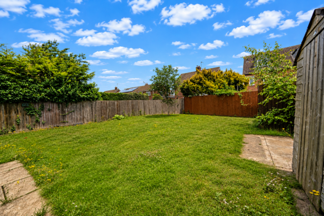 ChatGPT Image Jun 15, 2026 at 02_33_46 PM