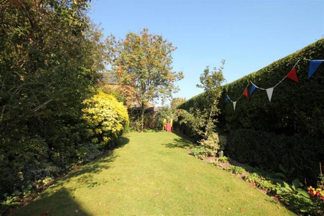 Garden 3.jpg
