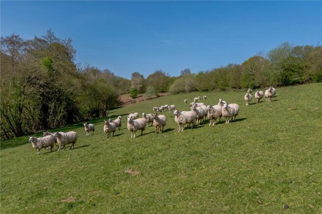 Smallholding