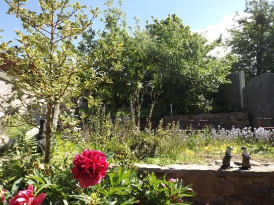 Garden No.3