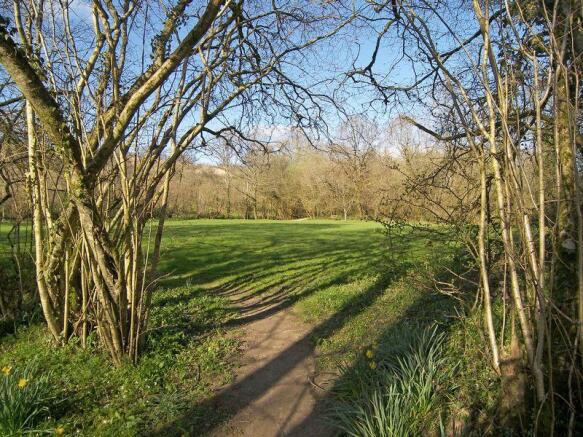Grounds