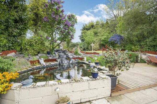 Garden/Pond