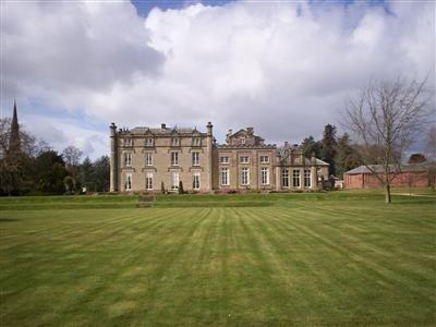 Rear Aspect