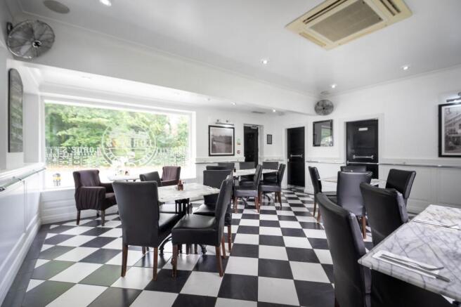 Chippy Int 6 T202602181605.jpg