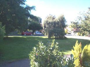 View To The Front