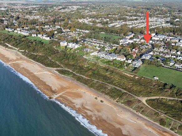 Ariel Beech Photo.jpg