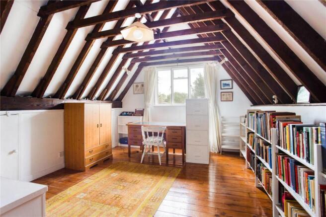 Study Area