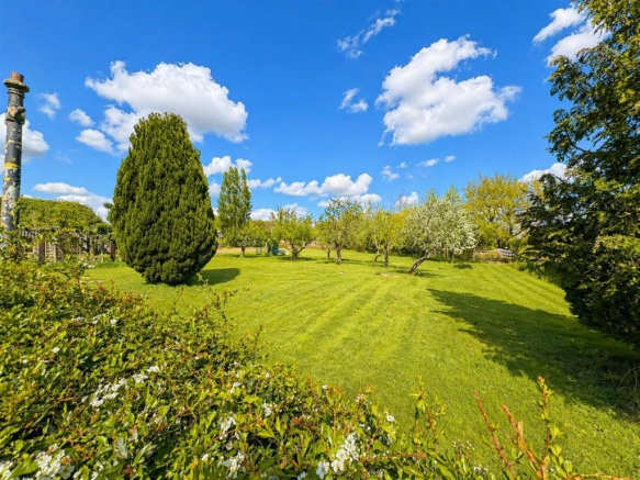 Sunny garden