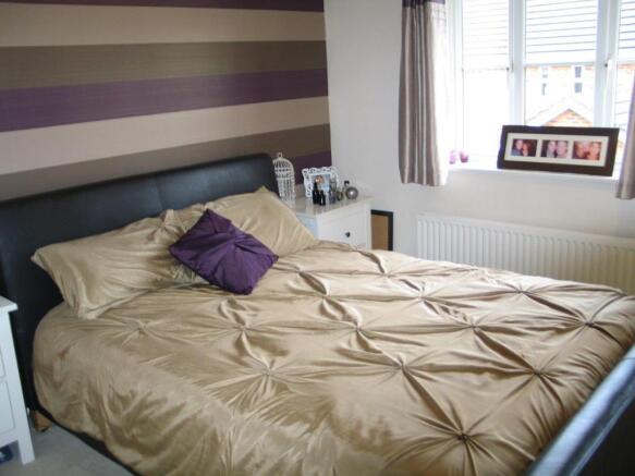 11 waterlily close-b