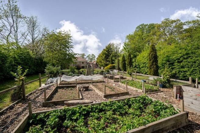 Vegetable garden