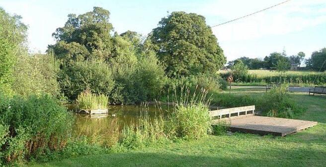 Pond