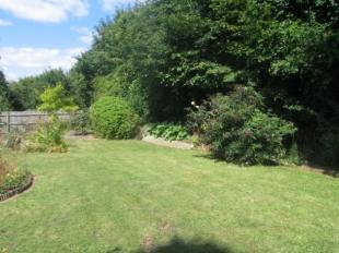 Garden 1
