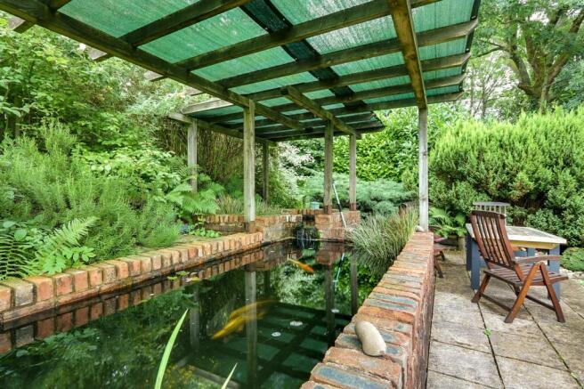 Pond