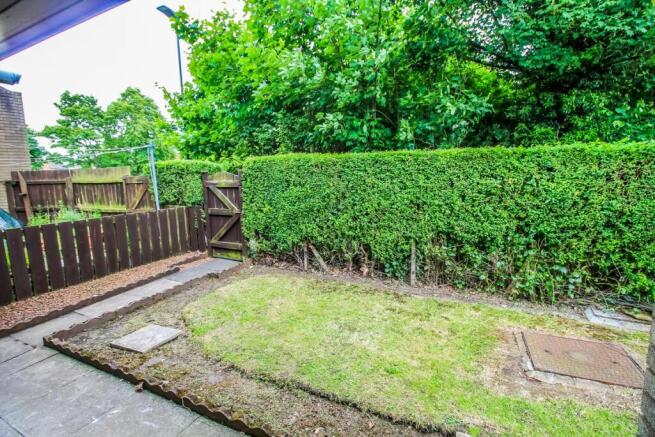 Garden pic 2