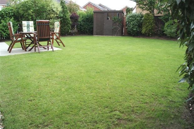 Rear Garden p2