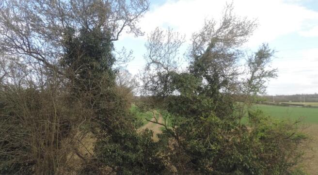 KITCHEN WINDOW VIEW