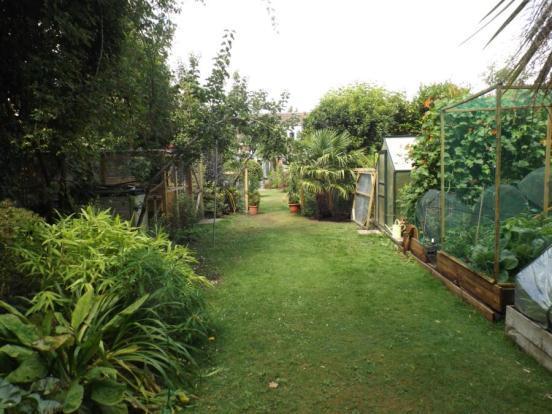 Garden 4