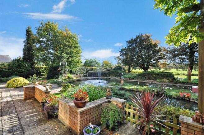 Rear Gardens