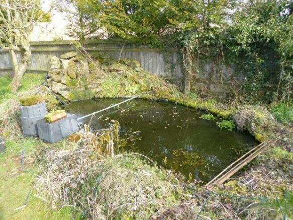 Pond