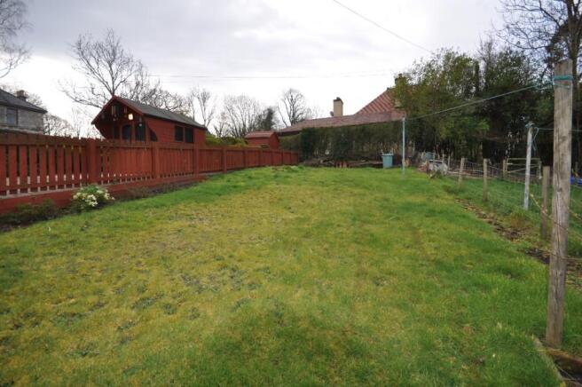 Back Garden