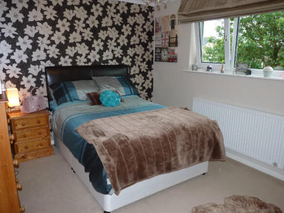 Picture 8