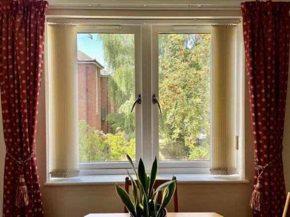 Window