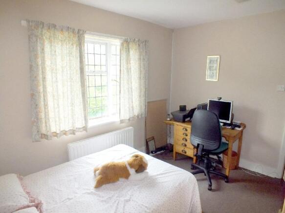 Photo 7