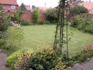 Picture 9