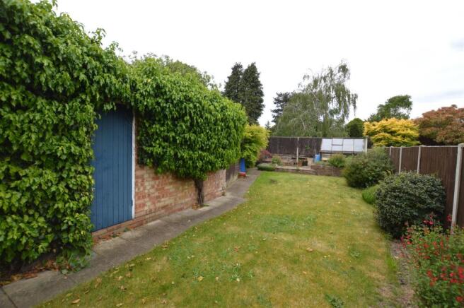 98 Ryecroft Avenue garden May.JPG