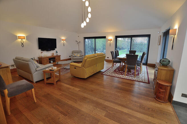 Living/dining room