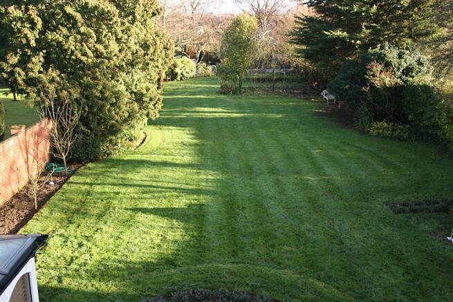 rear garden.JPG