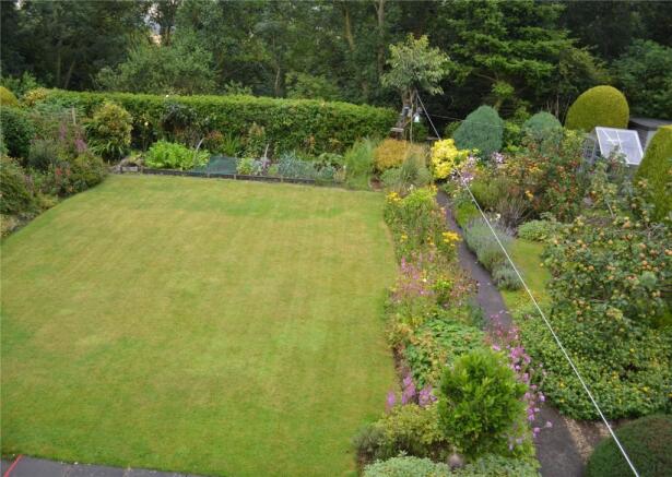 Back Garden