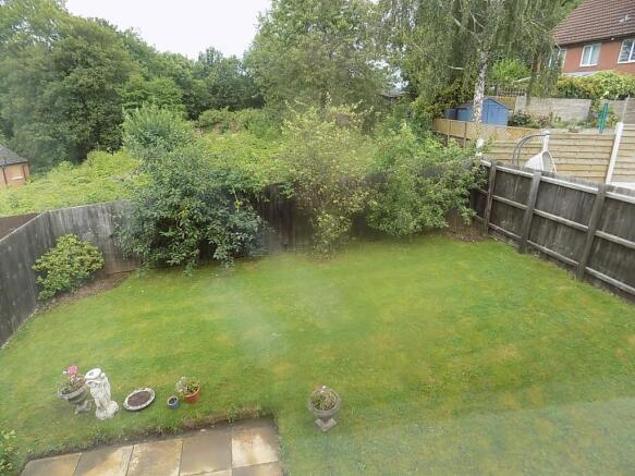 Photo 11