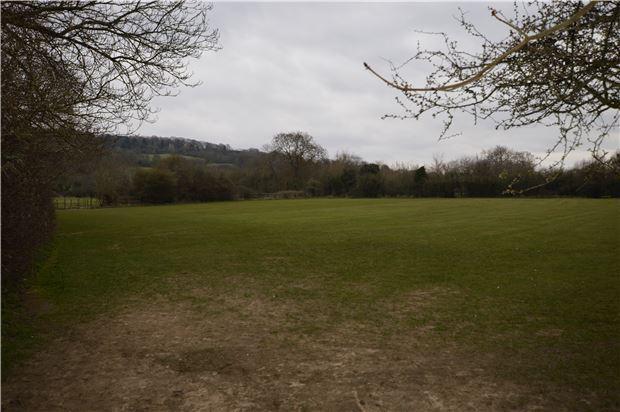 Open fields