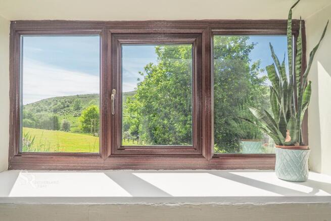 Views From Dining Room