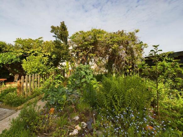 garden