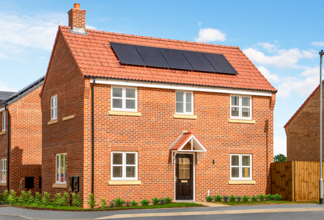 Frampton Gate - The Holly Special 65 - May 2026
