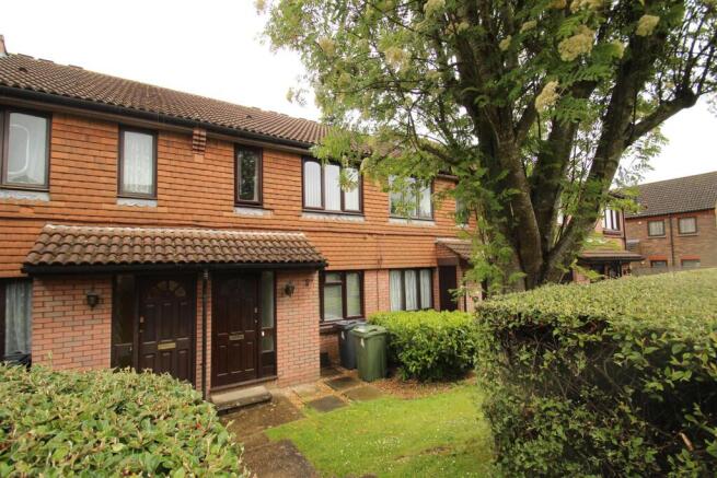 IMG_3508.JPG