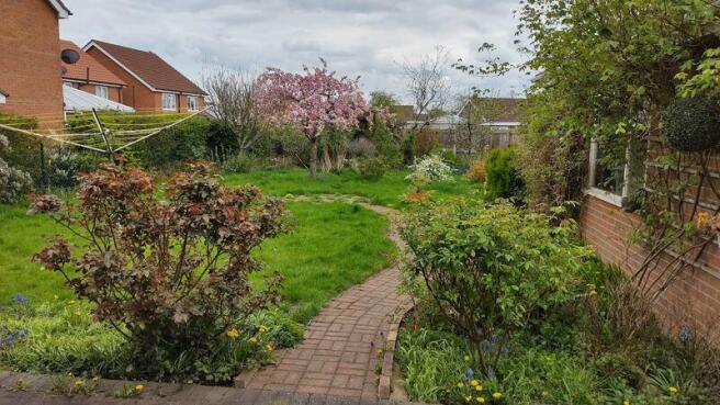 Garden View 2