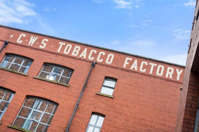 mountain tobacco plant What is the Sierra mountain tobacco plant?