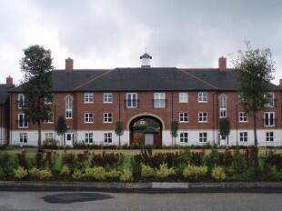 White Clover Sqaure