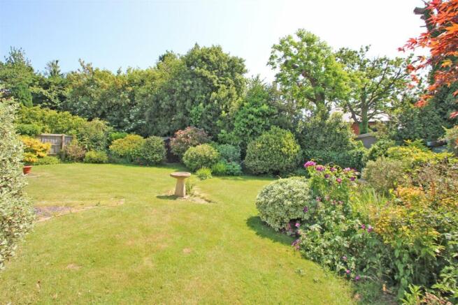 Garden 3.jpg