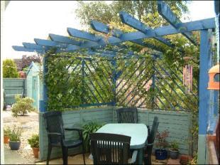 Garden 1