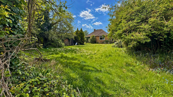 Outside - Rear