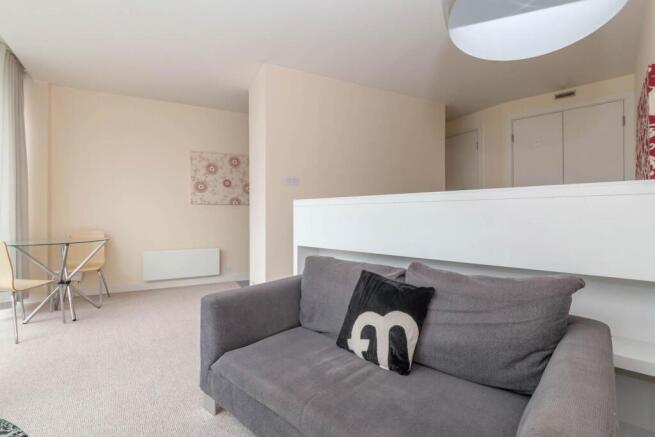 Living/ Sleeping Area