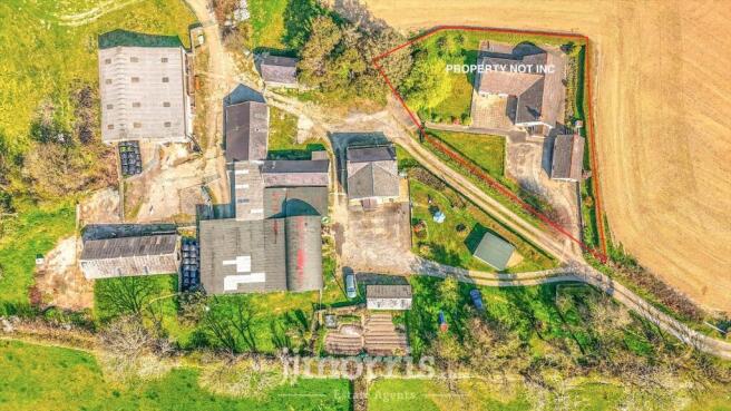 Image 25-04-2025 at 11.42.jpeg