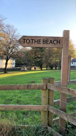 To the Beach