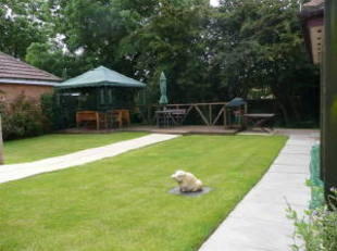 Photo 11