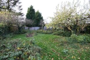 Orchard